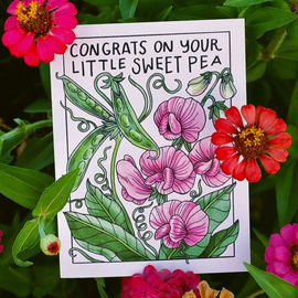 Congrats On Your Little Sweet Pea Card