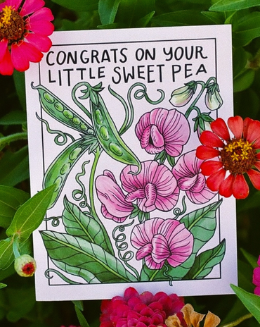 Congrats On Your Little Sweet Pea New Baby Card