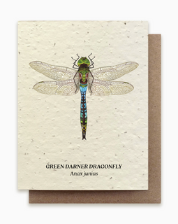 Dragonfly Plantable Wildflower Seed Card