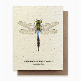 Dragonfly Plantable Wildflower Seed Card
