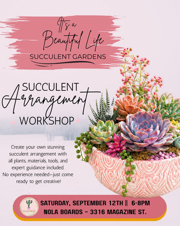 Succulent Arrangement Workshop