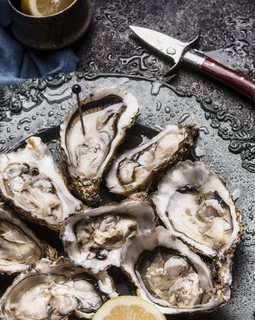 Oyster Knife with Pouch