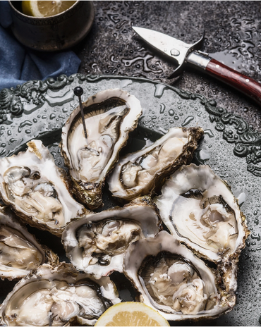 Oyster Knife with Pouch