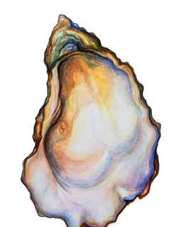 Sarah Nelson Fine Art Oyster Print