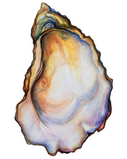 A watercolor archival print of an oyster with vibrant colors and intricate details.