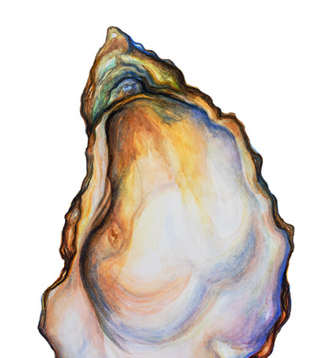 Sarah Nelson Fine Art Oyster Print