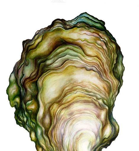 Sarah Nelson Fine Art Oyster Print