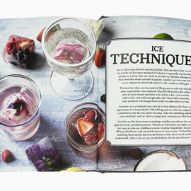 The Art of Mixology: Mocktails Recipe Book