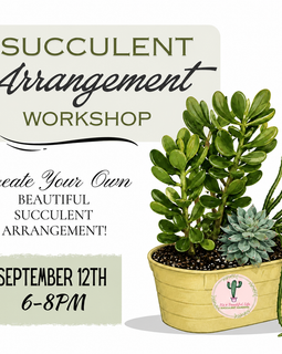 Promotional graphic for a 'Succulent Arrangement Workshop' on September 12th from 6-8 PM. The design features a clean white background with elegant typography in dark green and black, alongside a detailed illustration of a yellow pot containing various green succulents and a trailing snake plant.
