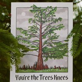 You're the Trees Knees Card