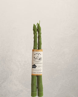 asparagus shaped beeswax taper candles set of two in green, unique vegetable candles for spring table decor