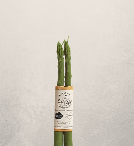 asparagus shaped beeswax taper candles set of two in green, unique vegetable candles for spring table decor