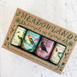 botanical simple syrup sampler set with four mini bottles featuring fruit and herb flavors for cocktails and beverages