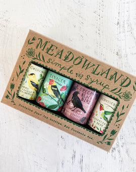 botanical simple syrup sampler set with four mini bottles featuring fruit and herb flavors for cocktails and beverages