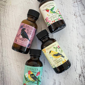 botanical simple syrup sampler set with four mini bottles featuring fruit and herb flavors for cocktails and beverages