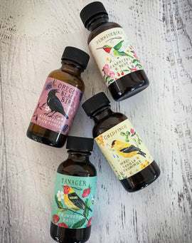 botanical simple syrup sampler set with four mini bottles featuring fruit and herb flavors for cocktails and beverages