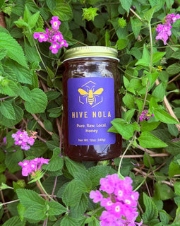 Jar of Hive Nola honey surrounded by green leaves and pink flowers