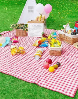 red plaid picnic blanket at park food on top