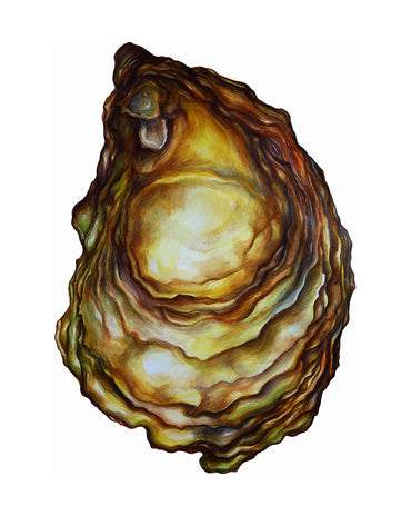 A watercolor archival print of an oyster by Sarah Nelson.