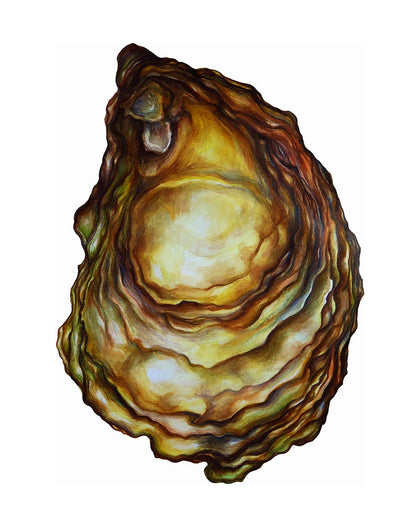 A watercolor archival print of an oyster by Sarah Nelson.
