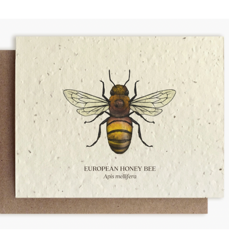 Honey Bee Plantable Wildflower Card